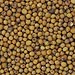 Mustard Seeds