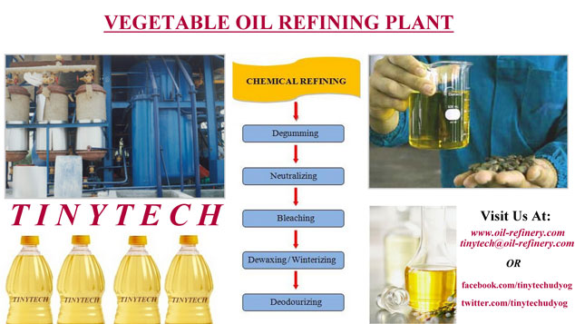 Vegetable Oil Refinery Plant